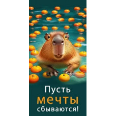 ОТКРЫТКА КОНВЕРТ "ПУСТЬ МЕЧТЫ СБЫВАЮТСЯ"