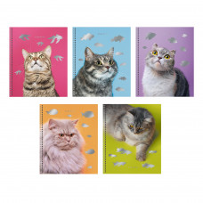 ТЕТРАДЬ 80Л КЛЕТКА "КОТИКИ"