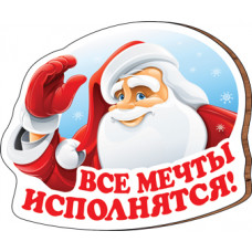 МАГНИТ НОВОГОДНИЙ "ВСЕ МЕЧТЫ ИСПОЛНЯТСЯ !"