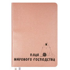 ЕЖЕДНЕВНИК A5 deVENTE 160Л 145X205ММ "MESSAGE. ПЛАН МИРОВОГО ГОСПОДСТВА"